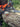Husqvarna 135 Mark II – Motosega a scoppio 38 cc barra 40 cm Husqvarna